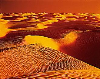 蜗牛对抗鱿鱼 平台跳跃新作《Will You Snail?》预告