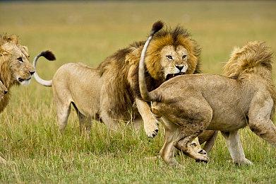 《生化危机2＆3》Steam版光追被移除